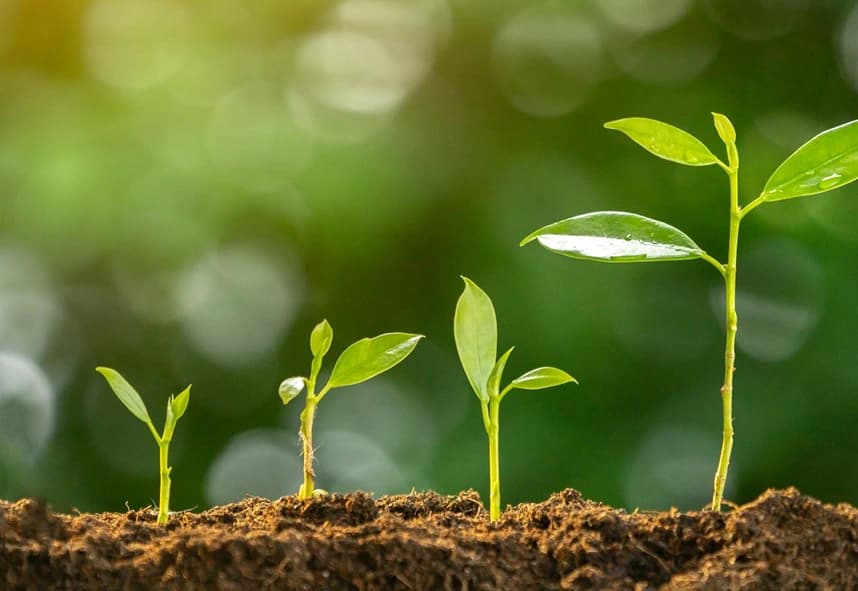 Agriculture tokenization case preview