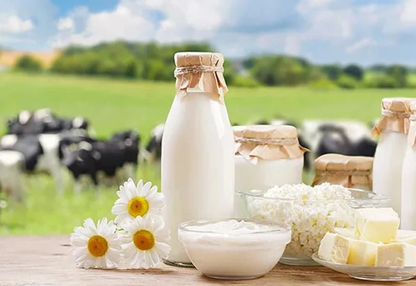 Food industry tokenized bonds case preview
